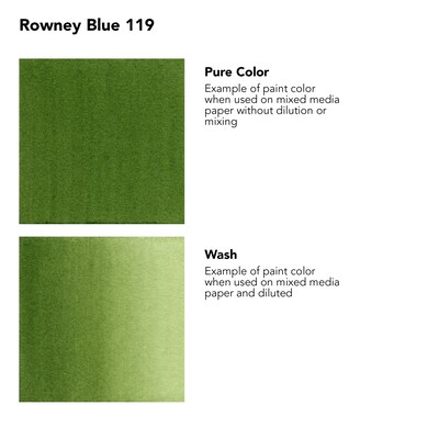 Daler-Rowney FW Acrylic Ink, Sap Green, 29.5ml, 3/Bundle (DRW160029375-3)