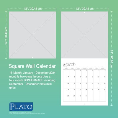 2024 Plato Motivation 12" x 24" Monthly Wall Calendar (9781975466299)