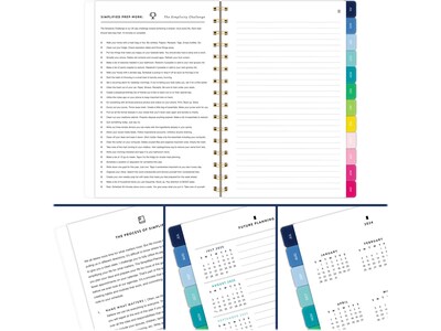 2024-2025 AT-A-GLANCE Simplified by Emily Ley Happy Stripe 5.5" x 8.5" Academic Weekly & Monthly Planner, Poly Cover
