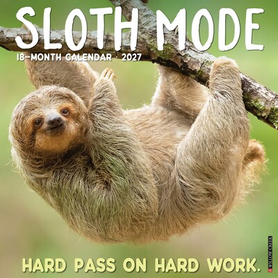 2027 Willow Creek Sloth Mode 12 x 12 Monthly Wall Calendar, Assorted Colors (62371)