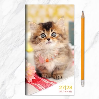 2027 TF Publishing Kitten 3.5" x 6.5"  Monthly Standard Planner, Paperboard Cover, Multicolored (27-7022)
