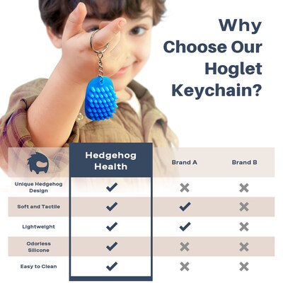 Hedgehog Technology LLC Fidget Keychain, Blue (HHG758524BLKEY)