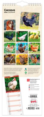 2026 BrownTrout Chickens 5.88 x 16.5 Monthly Wall Calendar (9798330702893)