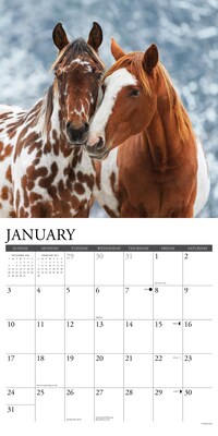 2027 Willow Creek Paint Horses 12" x 12" Monthly Wall Calendar, Assorted Colors (61695)