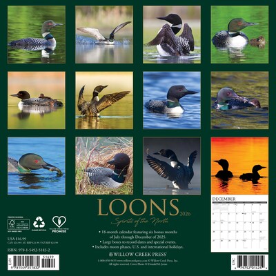 2026 Willow Creek Loons 12 x 12 Monthly Wall Calendar (51832)