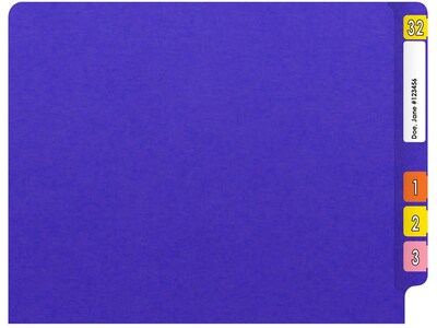 Medical Arts Press Heavy-Duty End Tab File Folder, Straight Cut, Letter-Size, Purple, 40/Box (S-09458-PRP)