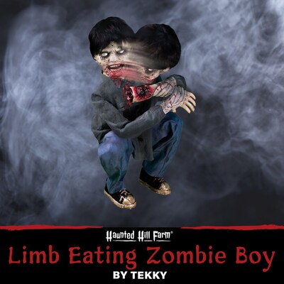 Haunted Hill Farm Crouching Limb Eater Zombie Boy by Tekky (HHLBRPR-FLSA)