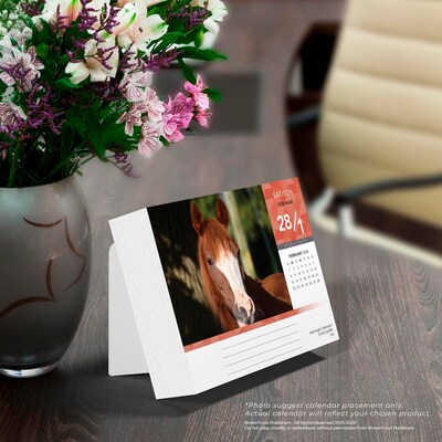 2026 BrownTrout Horse Lovers 6.06" x 5.13" Day-to-Day Calendar (9798330703678)