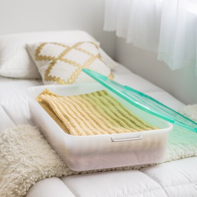 Iris 50 Quart Storage Container, Plastic, Clear (300333)