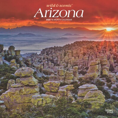 2025 BrownTrout Arizona Wild & Scenic 12 x 12 Monthly  Wall Calendar (9781975474461)