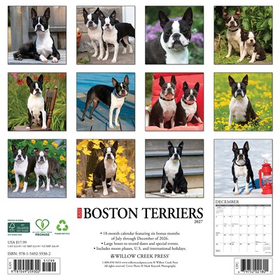2027 Willow Creek Boston Terriers 12 x 12 Monthly Wall Calendar, Assorted Colors (59302)