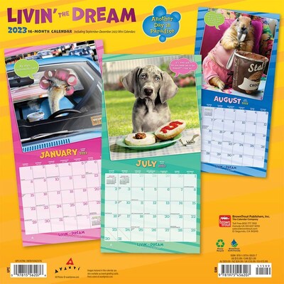 2023 BrownTrout Avanti Livin the Dream 12 x 12 Monthly Wall Calendar (9781975456207)