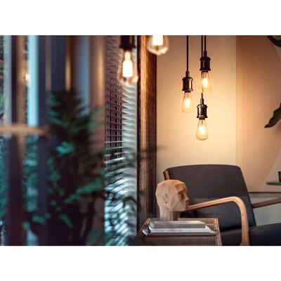 Philips Hue 60W Equivalent ST19 LED Smart Bulb, White  (571125)