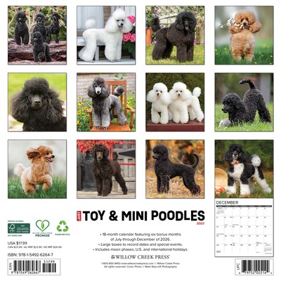 2027 Willow Creek Poodles 12 x 12 Monthly Wall Calendar, Assorted Colors (62647)