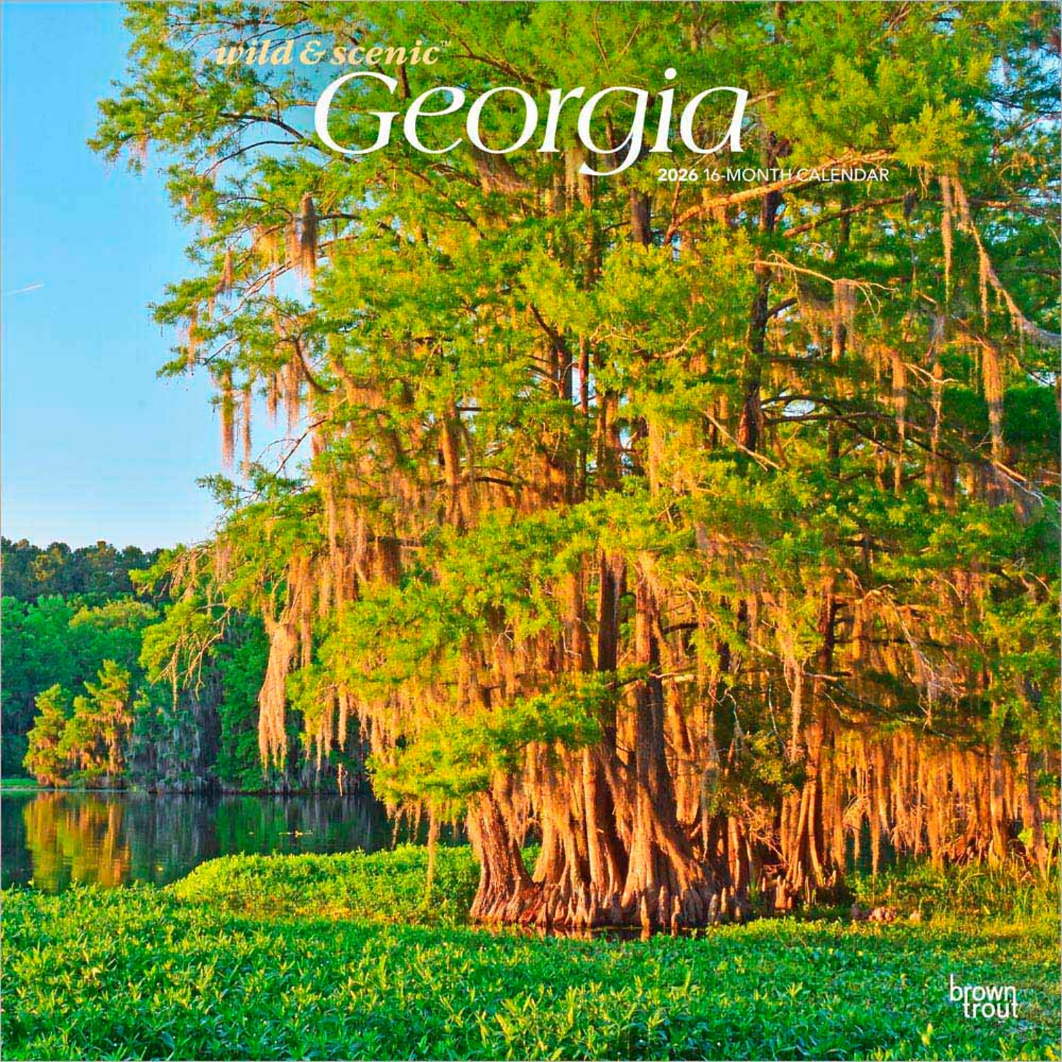 2026 BrownTrout Georgia Wild & Scenic 12 x 12 Monthly Wall Calendar (9798330703340)