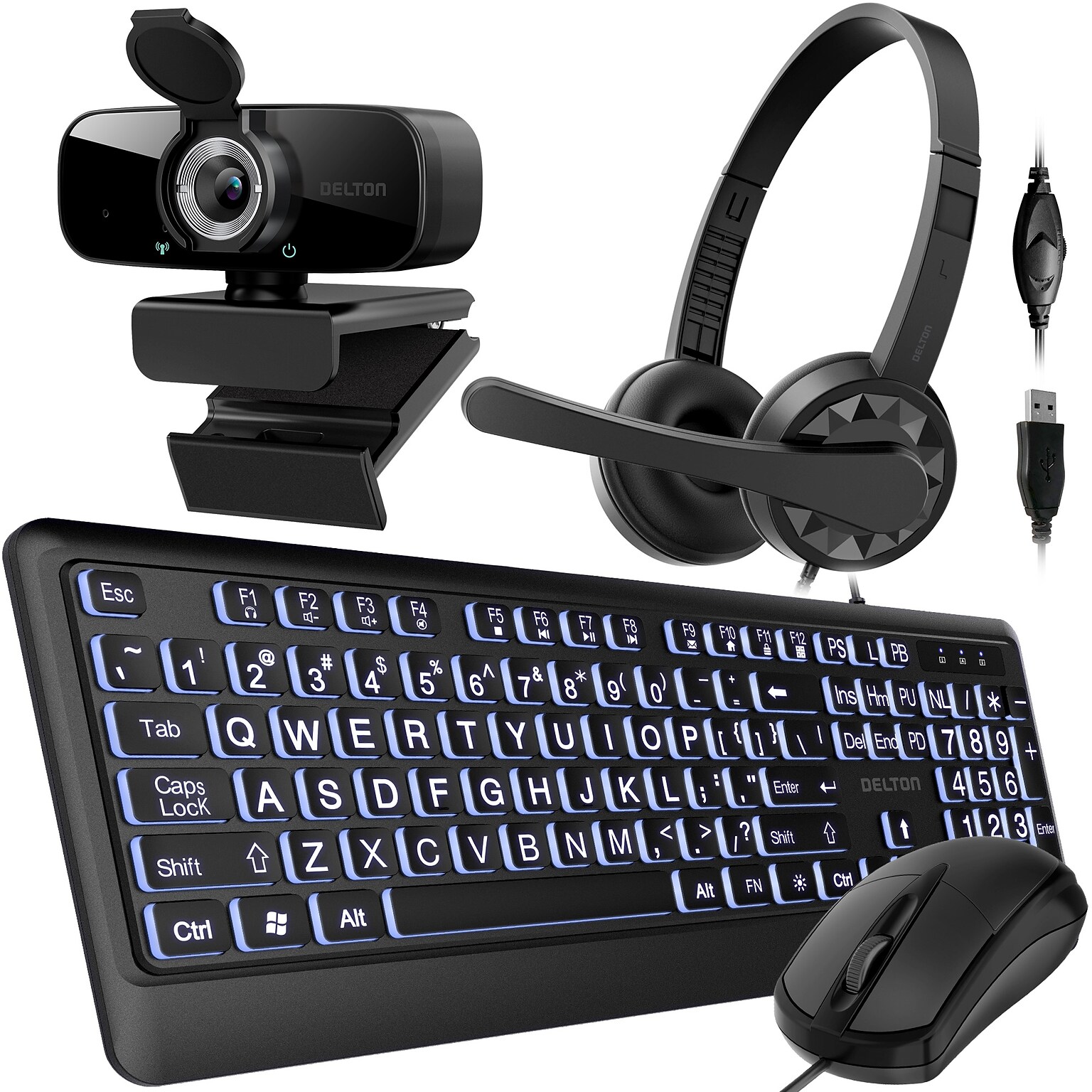 Delton Work Anywhere 12Y USB Headset, 1080p Webcam, Big-Key USB Keyboard & Mouse Bundle, Black (DBND4WRD10YREG)