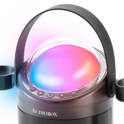 Audiobox Party Light Master Portable Karaoke Bluetooth Speaker with 2 Wireless Microphones, Black (ABK-500)