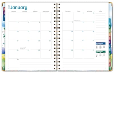 2027 Excello Brands 9" x 11" Weekly & Monthly Standard Planner, Paperboard Cover, Tree Seasons (FSHN-CY27-8511-20)