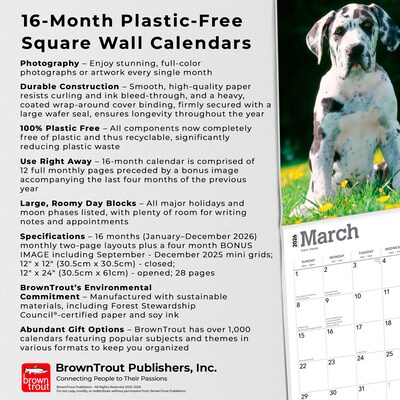 2026 BrownTrout Great Danes 12" x 12" Monthly Wall Calendar (9798330703524)