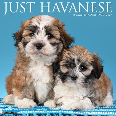 2027 Willow Creek Havanese  12 x 12 Monthly Wall Calendar (60629)