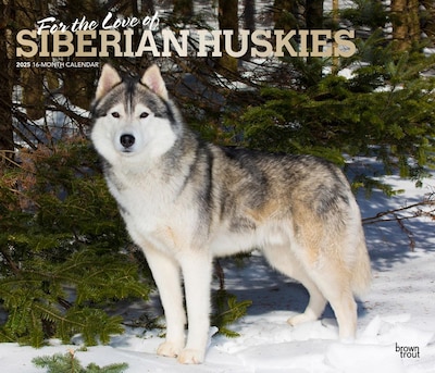 2025 BrownTrout For the Love of Siberian Huskies 7 x 12 Monthly  Wall Calendar (9781975473082)
