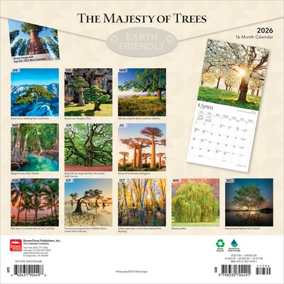 2026 BrownTrout The Majesty of Trees 12 x 12 Monthly Wall Calendar (9798330704491)