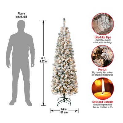 National Tree Company Acacia Artificial Christmas Trees (AC100-304-60F)
