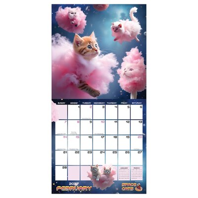 2027 TF Publishing Space Cats 7 x 7 Monthly Wall Calendar, Multicolored (27-2009)