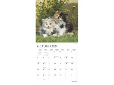 2024-2025 Plato Happy Kittens 12" x 12" Academic & Calendar Monthly Wall Calendar (9781975481346)