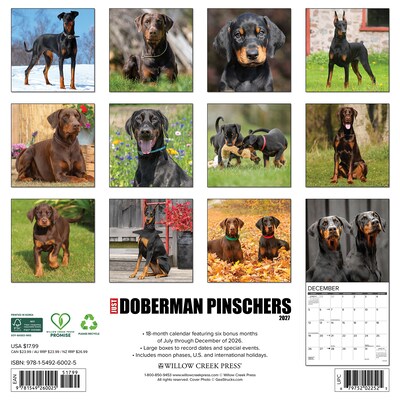 2027 Willow Creek Doberman Pinschers  12 x 12 Monthly Wall Calendar (60025)