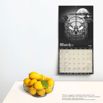 2025 BrownTrout Alchemy Gothic  12" x 12" Monthly Square Wall Calendar (9781975483104)