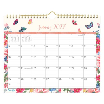 2027 Blue Sky Fly By 11 x 8.75 Monthly Wall Calendar (148643-27)