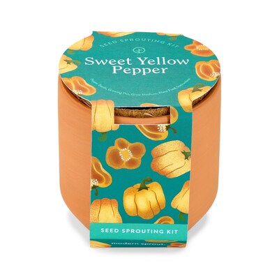 Modern Sprout Tiny Terracotta Garden Kits - Sweet Yellow Pepper