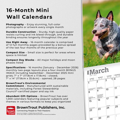 2026 BrownTrout Blue Heelers 7" x 7" Monthly Wall Calendar (9798330702510)