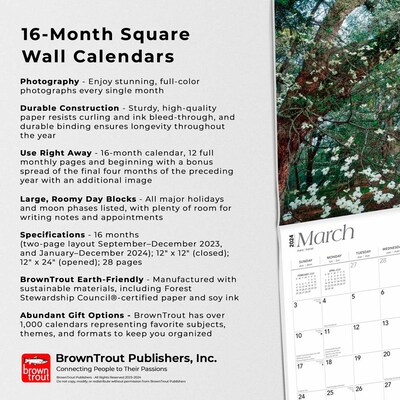 2024 BrownTrout South Carolina Wild & Scenic 12" x 24" Monthly Wall Calendar (9781975465131)