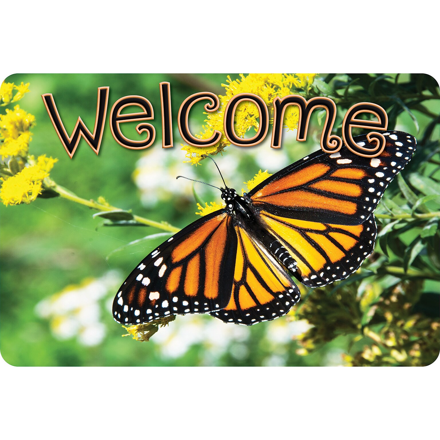 Ashley Productions The Original Fun Mat, Welcome Mat, 15.5 x 23.5, Butterfly Welcome (ASH91536)