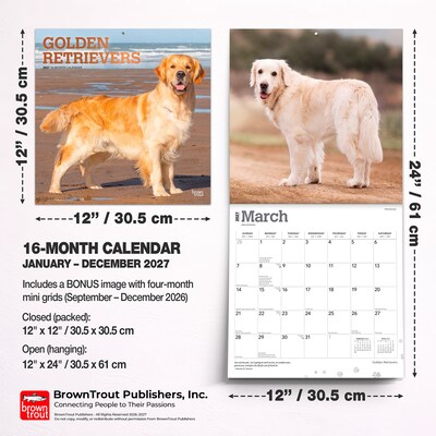 2027 BrownTrout Golden Retrievers 12" x 12" Monthly Wall Calendar (9798330712472)