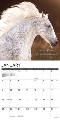 2026 Willow Creek Seize the Hay 12" x 12" Monthly Wall Calendar (52730)