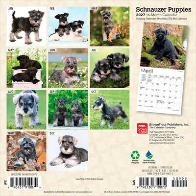 2027 BrownTrout Schnauzer Puppies 7 x 7 Monthly Wall Calendar (9798330710072)