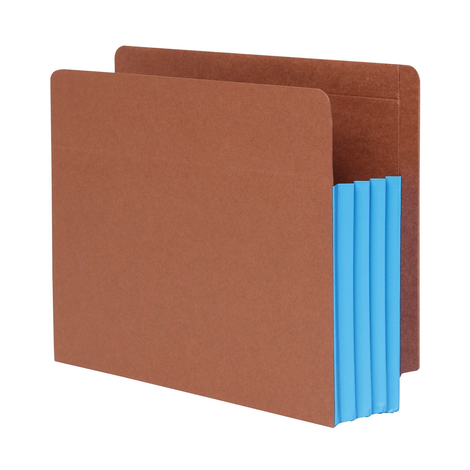 Pendaflex File Pocket, 3 1/2 Expansion, Letter Size, Brown/Blue, 10/Box (1007026)