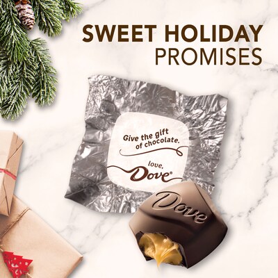 DOVE Promises Dark Chocolate & Sea Salt Caramel Christmas Candy, 7.94 oz. (MMM59122)