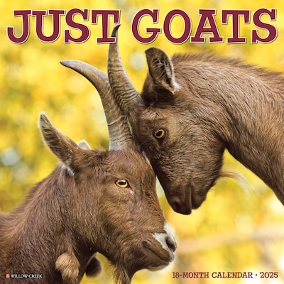 2025 Willow Creek Just Goats 12 x 12 Monthly Wall Calendar (43073)