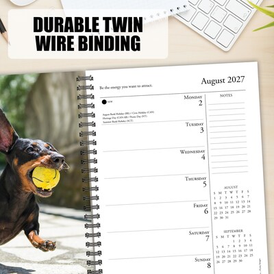 2027 Willow Creek What Dogs Teach Us 6.5" x 8.5" Weekly & Monthly Desk Calendar (64450)