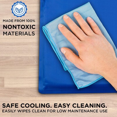 Arf Pets Non-Toxic Gel Dog Cooling Bed Mat for Kennels, X-Small, Blue (APCLPD015)