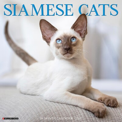 2027 Willow Creek Siamese Cats 12 x 12 Monthly Wall Calendar, Assorted Colors (62326)