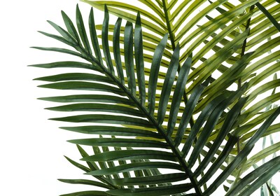 Monarch Specialties Inc. 57" Artificial Palm Tree in Pot (I 9536)