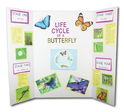 Flipside Corrugated Presentation Board, 4' x 3', Bleached White, 24/Carton (30042-24)