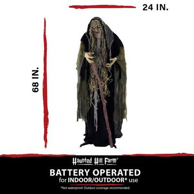 Haunted Hill Farm Life-Size Poseable Swamp Witch (HHWITCH-10FLSA)