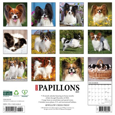 2025 Willow Creek Just Papillons 12 x 12 Monthly Wall Calendar (44360)