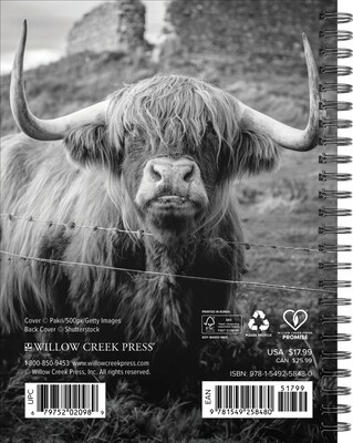2026 Willow Creek Highland Cows 6.5 x 8.5 Daily & Monthly Personal Organizer (58480)